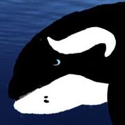 Eclipse_the_orca