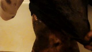 My scat body massage video