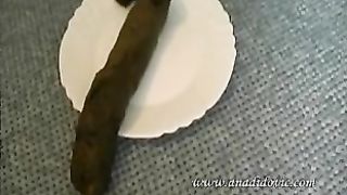 Nice plate full of shit massive log of poo