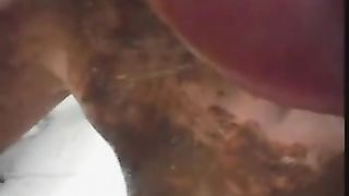 Scat lesbians gone wild asian pooping