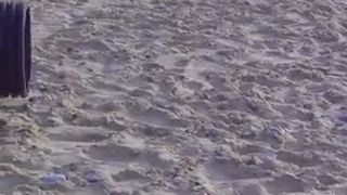 Amateur beach pissing and pussy playing