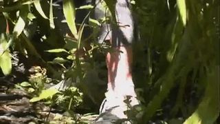 Amateur outside scat eating pooping girl