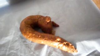 Taking a big shit and showing the poop