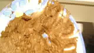 Hungry as shit eating his own turd scat