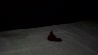 Big black brown shit on the floor