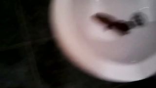 Amateur pooping in the bathroom