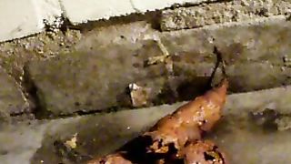 Tasting shit from a stranger