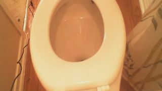 Ebony girls pooping and farting on the toilet