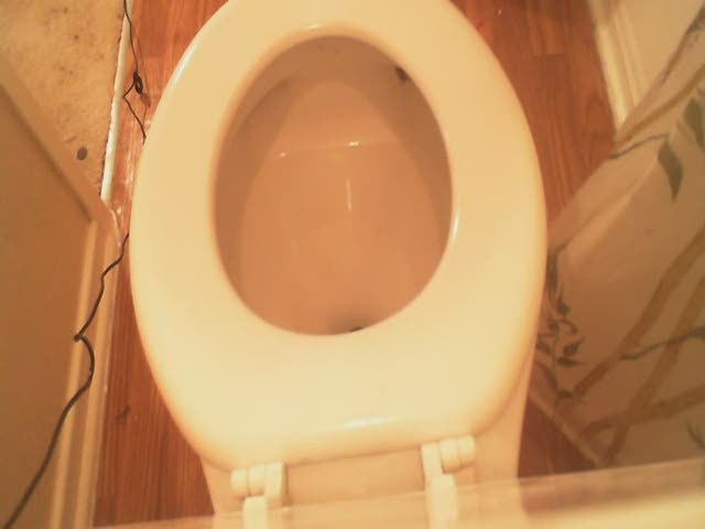 Ebony Pooping Tube