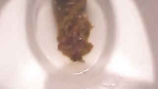 japanese girls toilet shitting