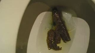 a real shit eater pooping on the toilet and smearing it over hi