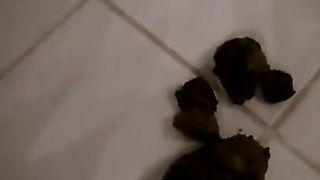 Hard turd from tight ass