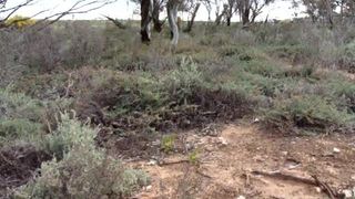 Mature girl shitting outdoor