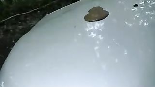 Shit on a car