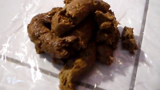 Poop on a plastic bag