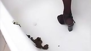 Shit in the tub