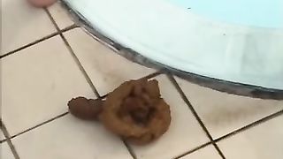 Asian girl pooping outdoor