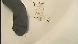 Shitting in the sink