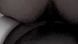 Very long turd