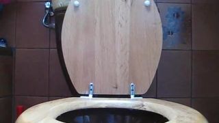 Shit over the toilet