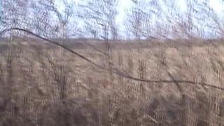 Tattooed girl pooping