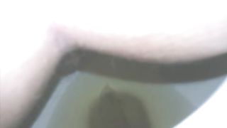 Shit over the toilet