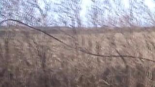 Shitting outdoor