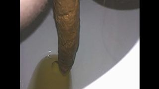 Long turd from his wife