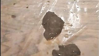 Fresh poop on her nipples