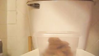 Shitting in a plastic lunch box