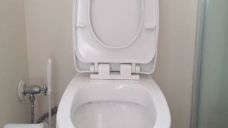 Hairy Ass Big Shit with Sticky Fingers