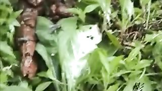 Mix of girls pooping outdoor