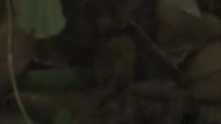 Mix of girls pooping outdoor