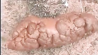 Indian teen shitting in nature