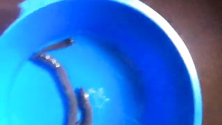 British girl shitting and peeing