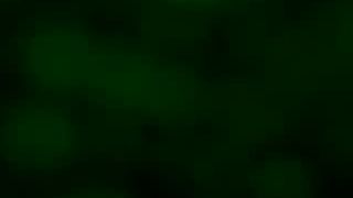 Beautiful scat cam girl