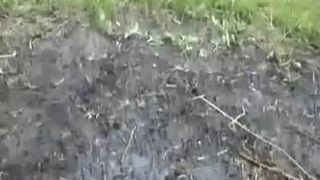 SExy girl pooping in nature