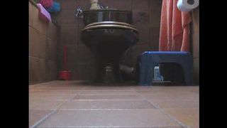 Shitting in doggy style