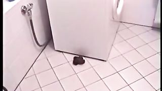 Diarheea over the toilet