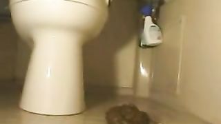 Sexy babe in lingerie shitting on a toilet