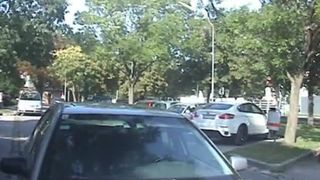 Shitting in the middle of the road