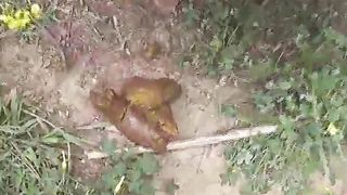 Drunk girl pooping in a forest