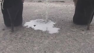 Sexy girl with a big ass pooping in public