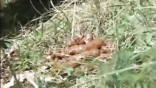 Skinny girl shitting in a field