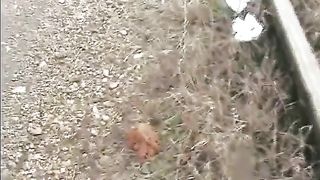 Shitting and pissing on a train track