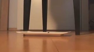 Homemade shitting