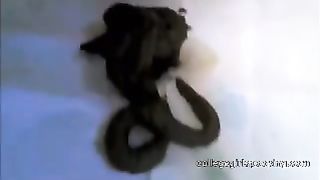 Janaye shitting brownies