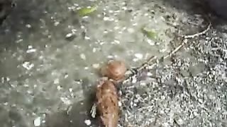 Country girl shitting