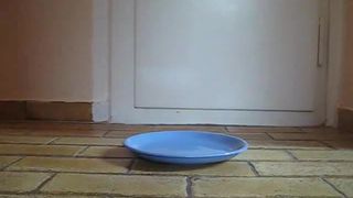 Pierced girl pooping on a plate