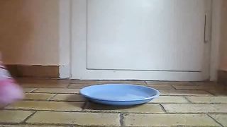 Pierced girl pooping on a plate
